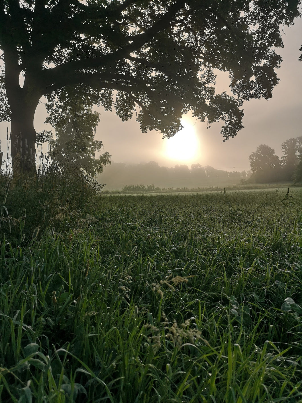 SOFT SILENT | yoga and meditation retreat with five days of silence