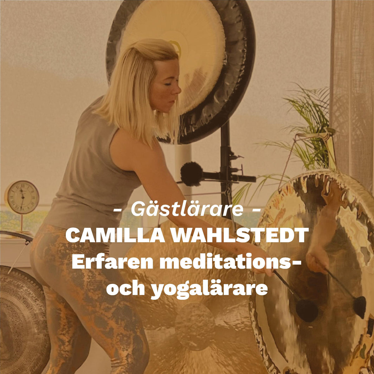 Camilla Wahlstedt